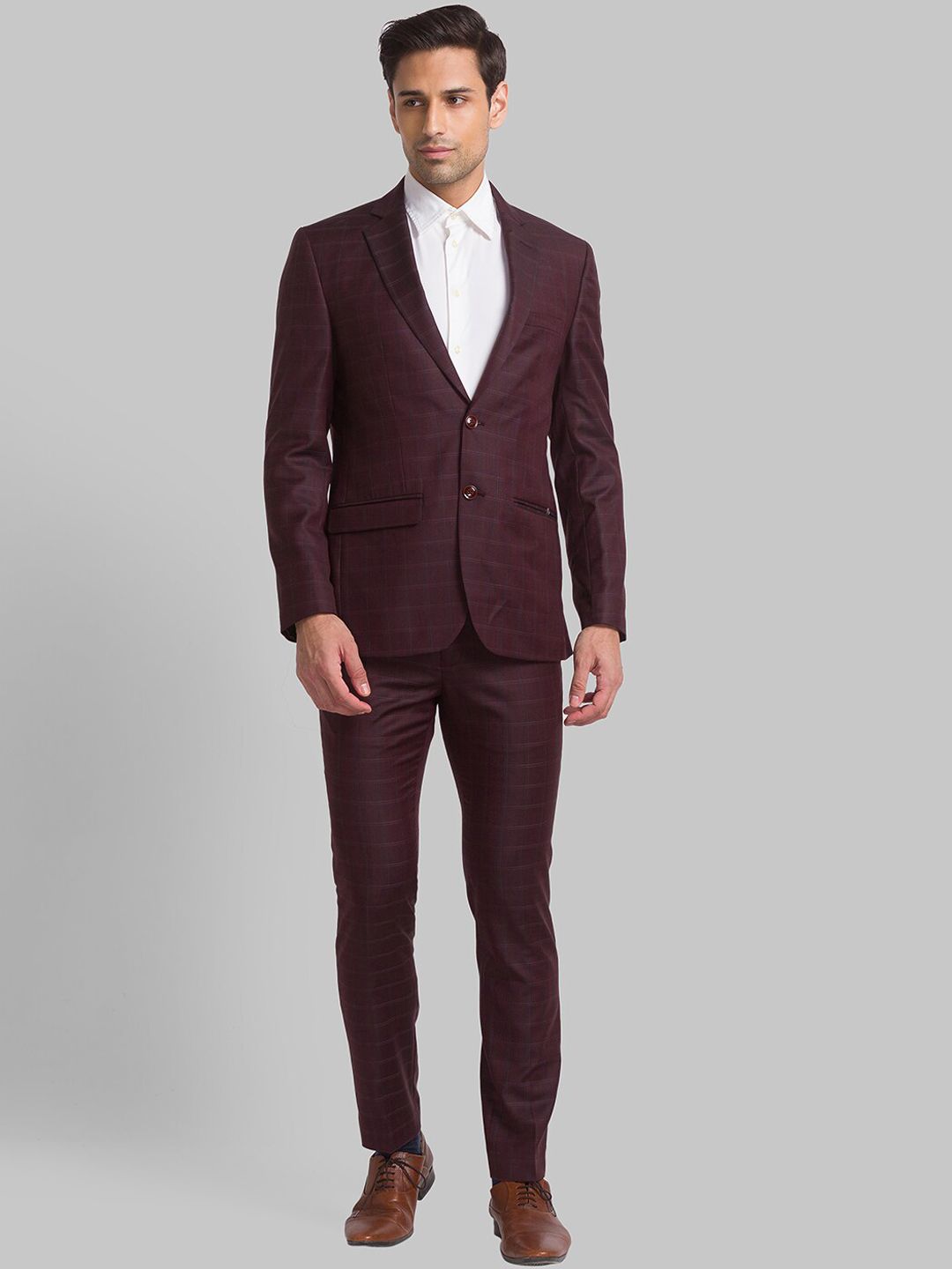 Park Avenue Men Checked Single Breasted Two Piece Formal Suit