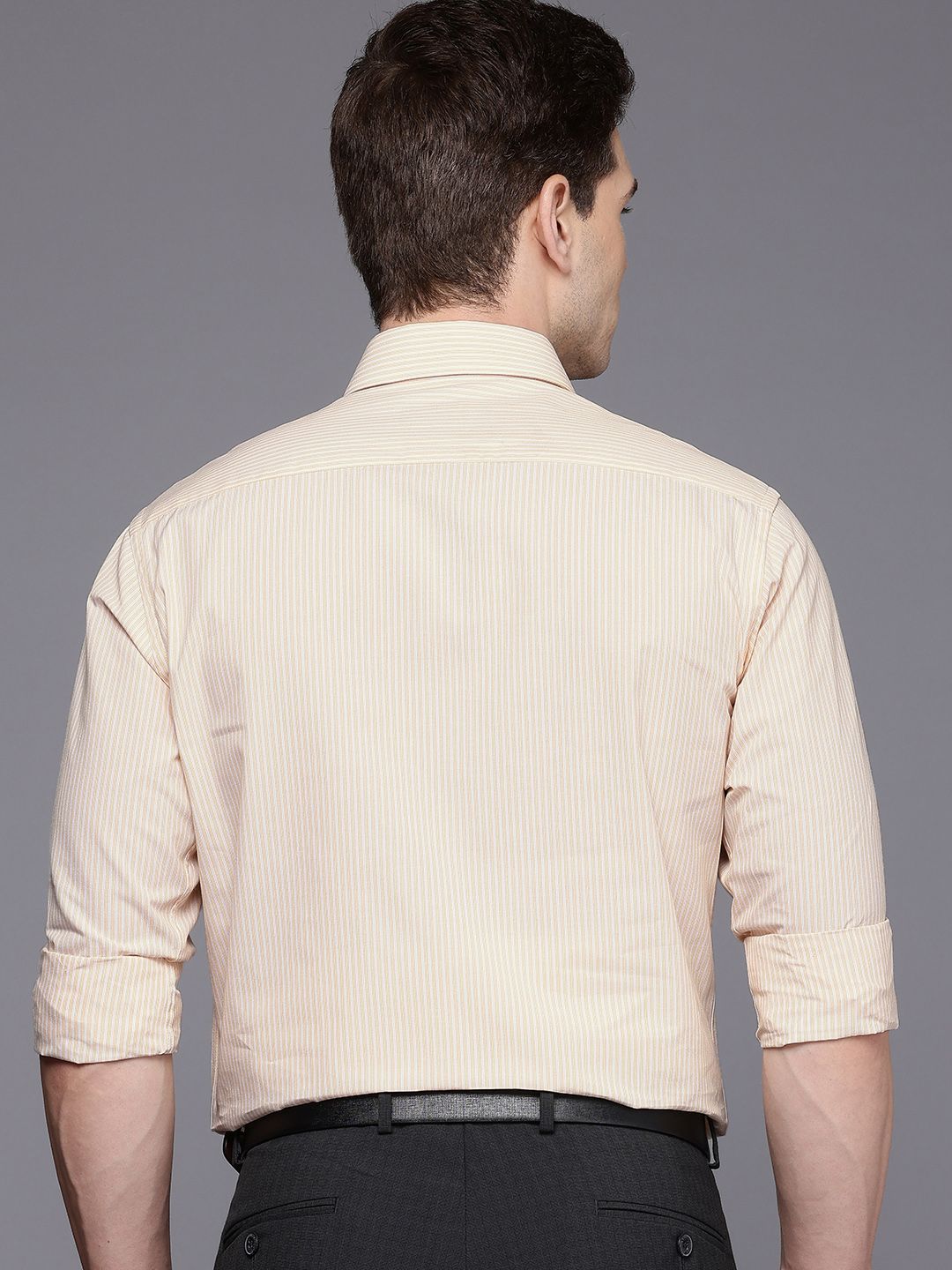 Raymond Slim Fit Striped Pure Cotton Formal Shirt