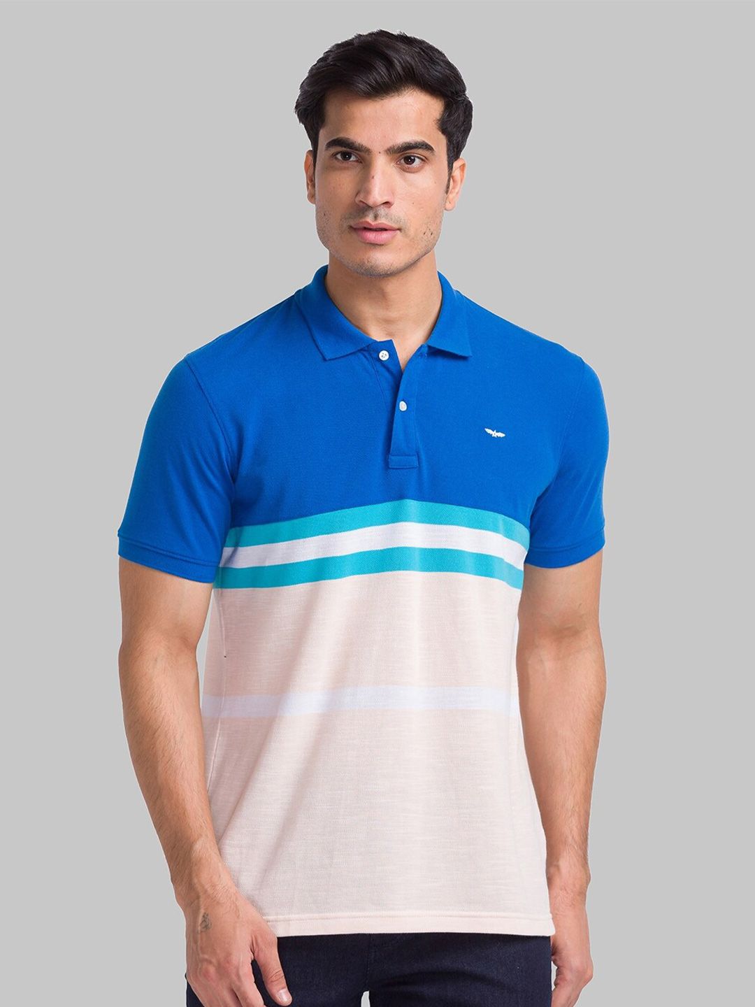 Park Avenue Striped Polo Collar Slim Fit T-shirt