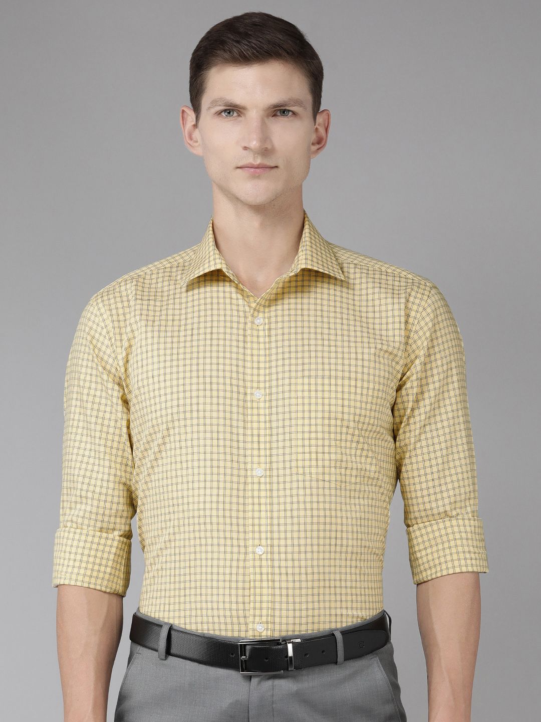 Park Avenue Pure Cotton Slim Fit Checked Formal Shirt