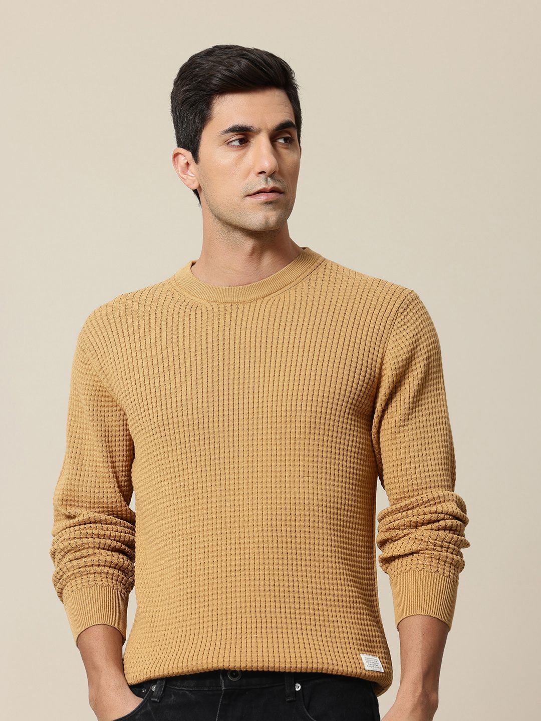 Mr Bowerbird Pure Cotton Self-Design Pullover Sweater