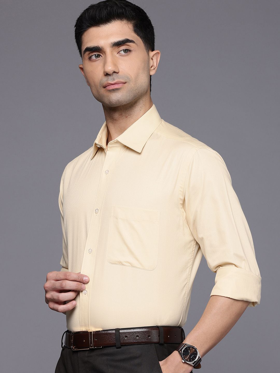 Raymond Slim Fit Textured Pure Cotton Formal Shirt