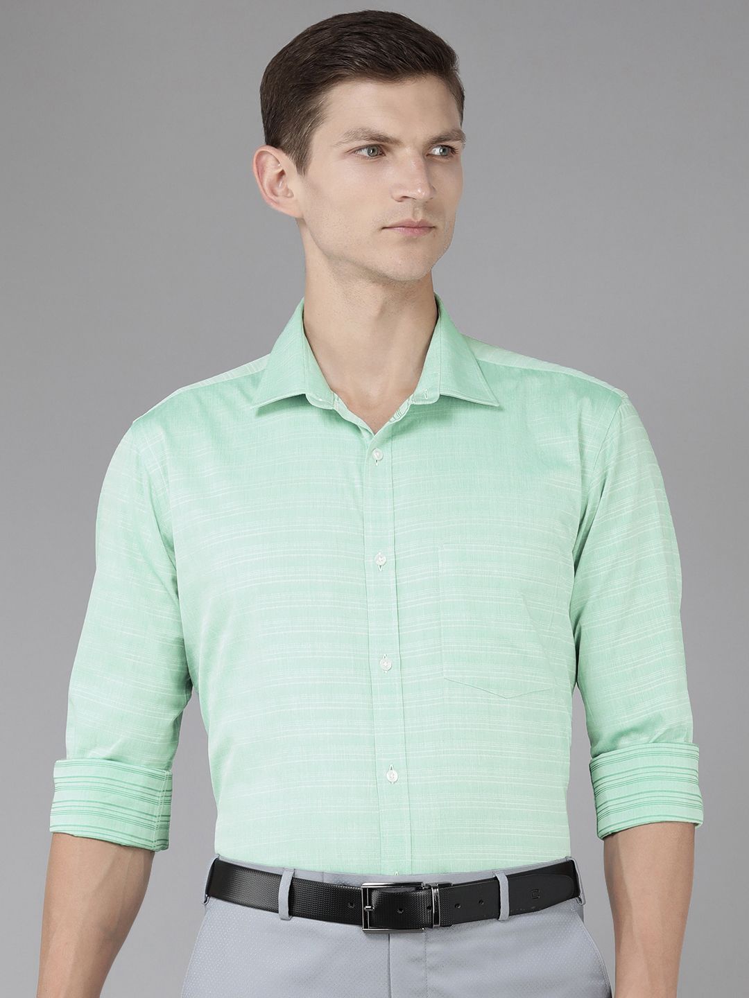 Park Avenue Slim Fit Striped Pure Cotton Formal Shirt