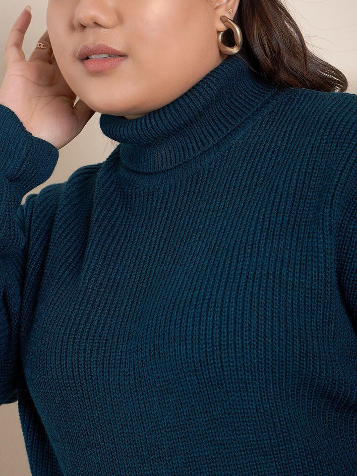 Curvy Street Plus Saiz Ribbed Turtle Neck Acrylic Pullover