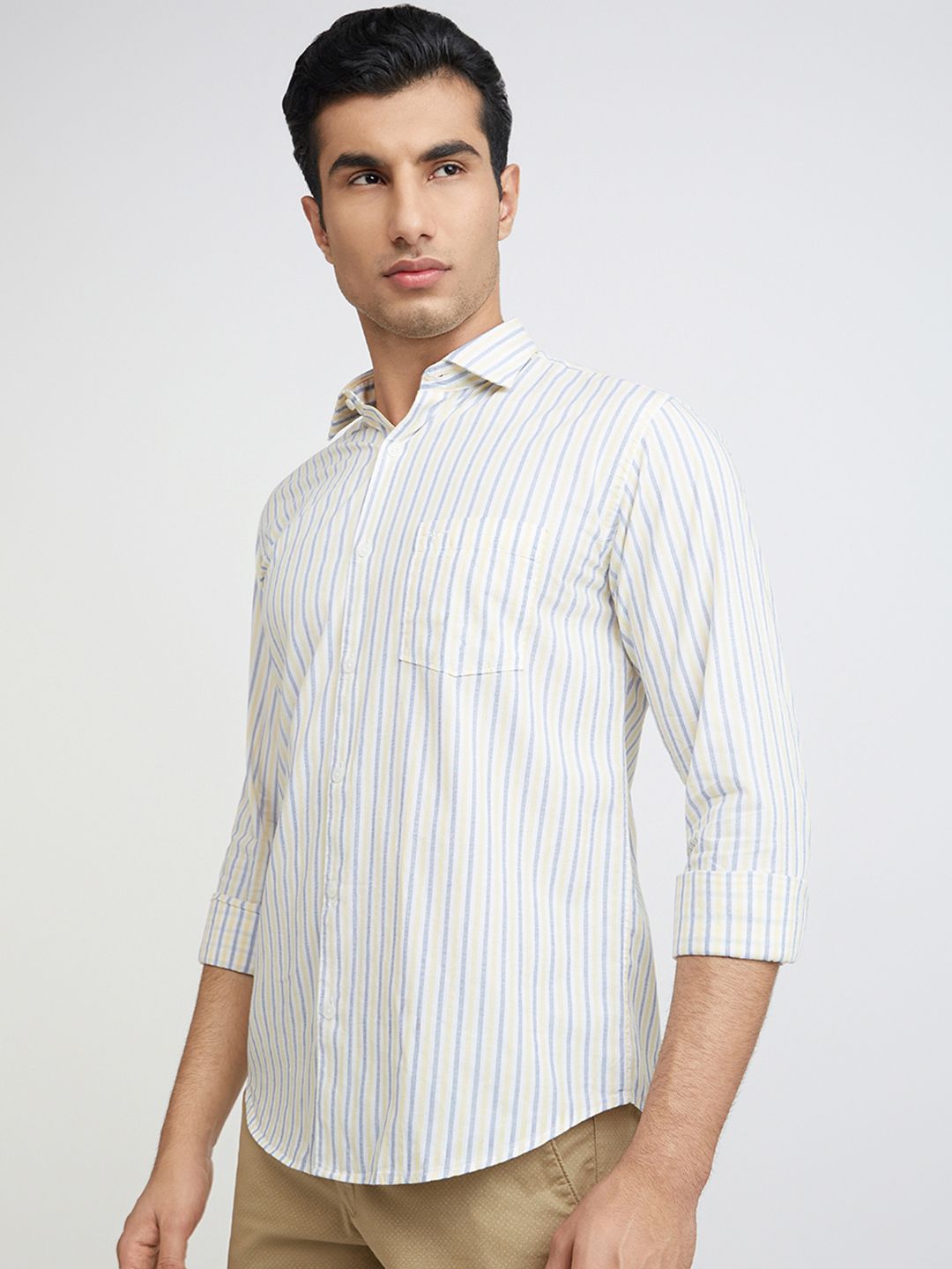 Park Avenue Men Slim Fit Vertical Stripes Opaque Pure Cotton Casual Shirt