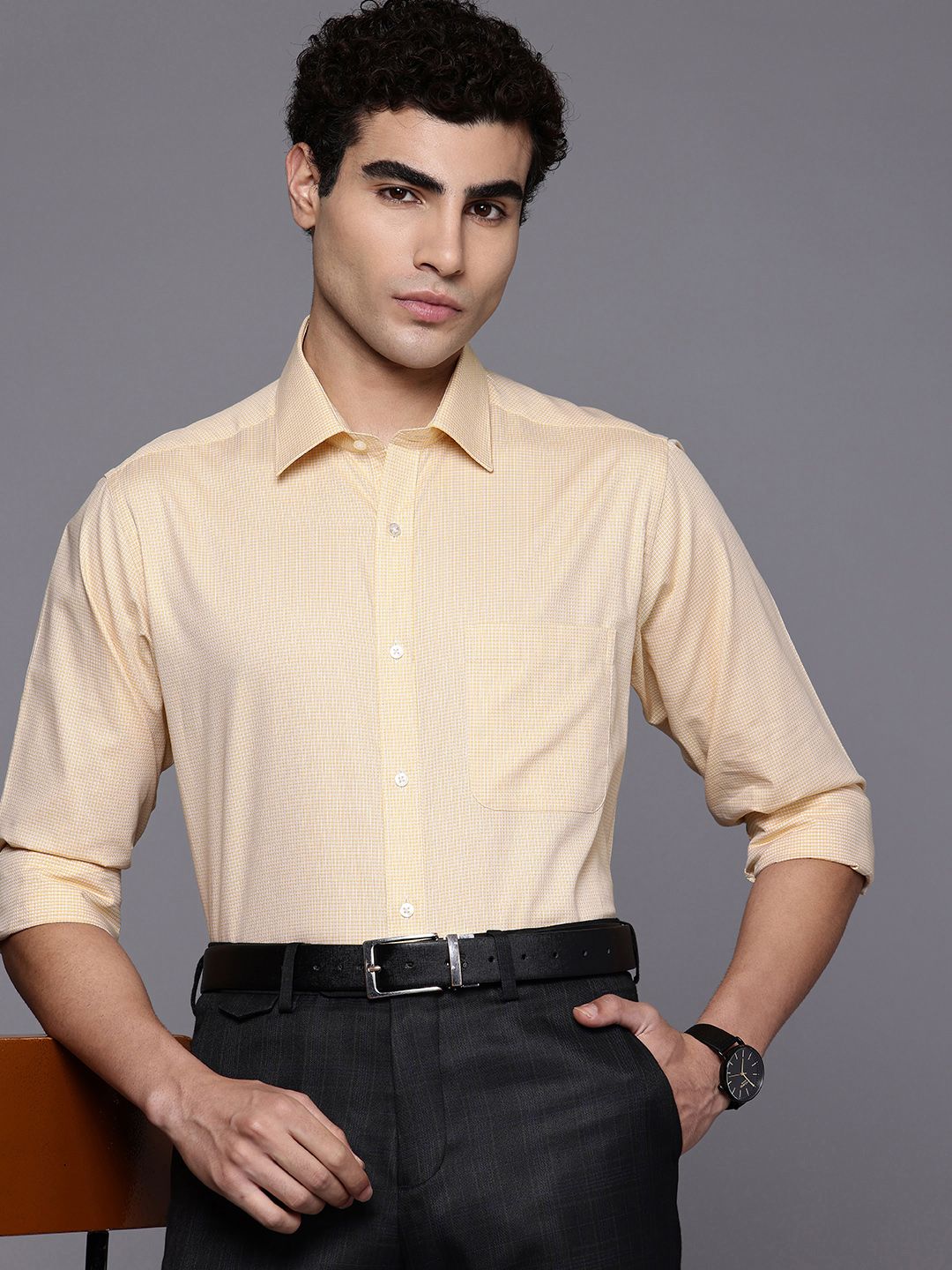 Raymond Slim Fit Checked Pure Cotton Formal Shirt