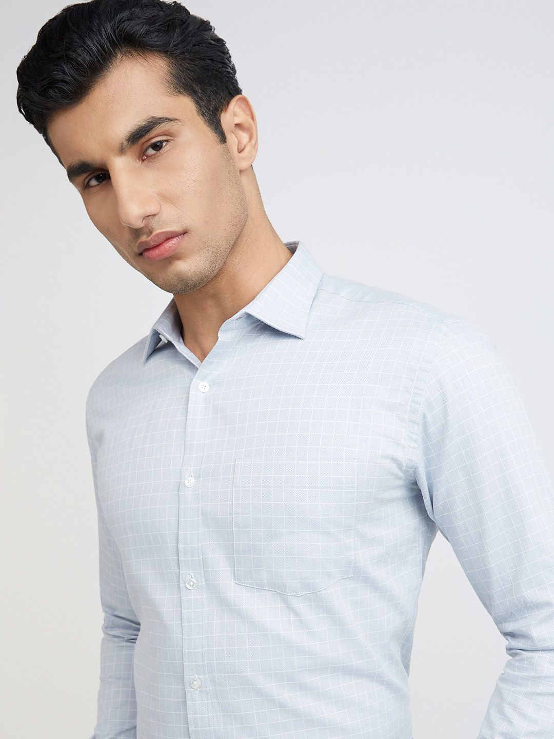 Park Avenue Slim Fit Windowpane Checks Pure Cotton Formal Shirt