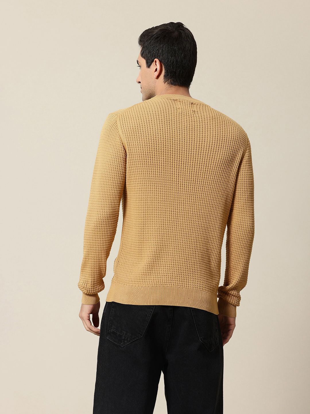Mr Bowerbird Pure Cotton Self-Design Pullover Sweater