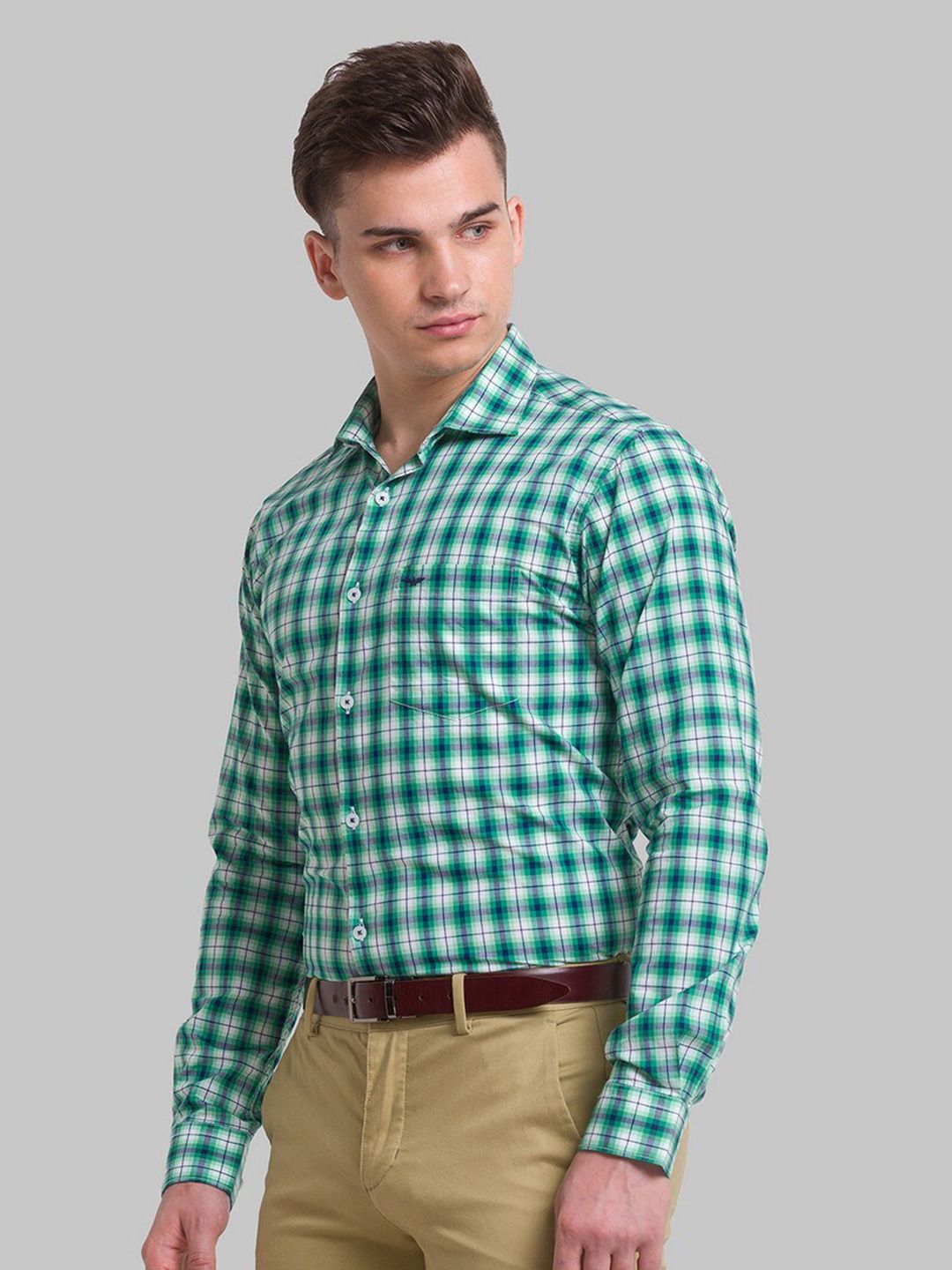 Park Avenue Men Green Slim Fit Gingham Checks Casual Organic cotton Shirt