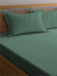KLOTTHE Green Striped Cotton 300 TC King Fine Bedsheet with 2 Pillow Covers-98 x 87 inches