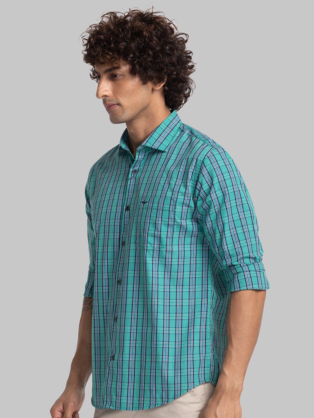 Park Avenue Checks Slim Fit Organic Cotton Casual Shirt
