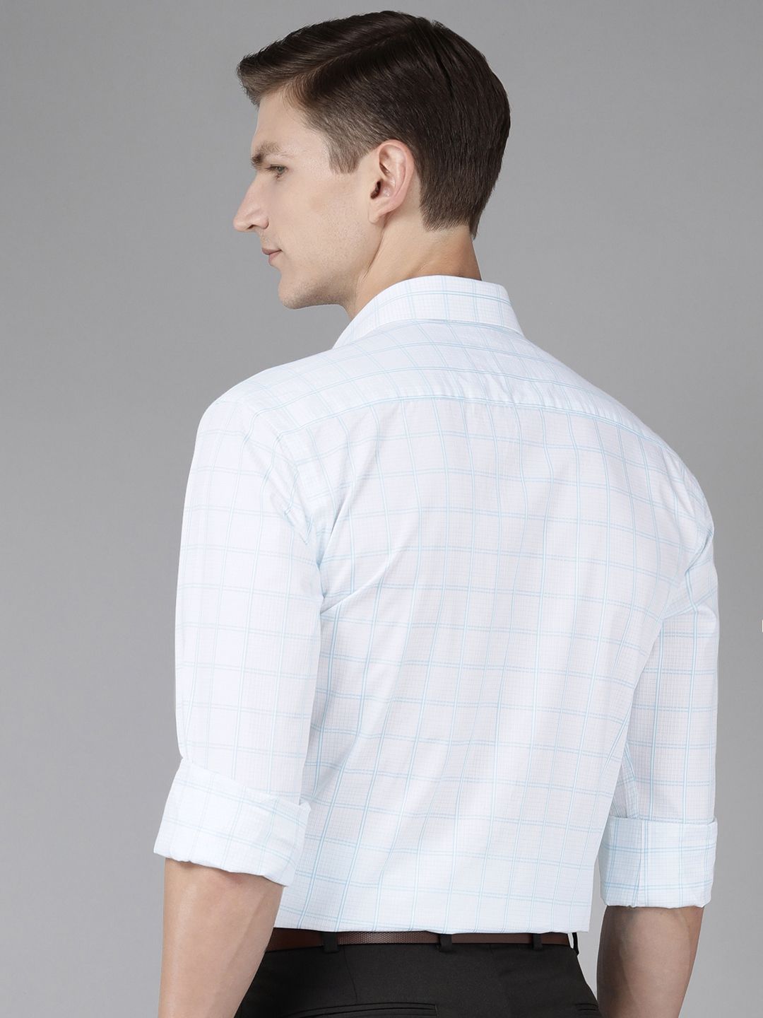 Park Avenue Slim Fit Checked Pure Cotton Formal Shirt