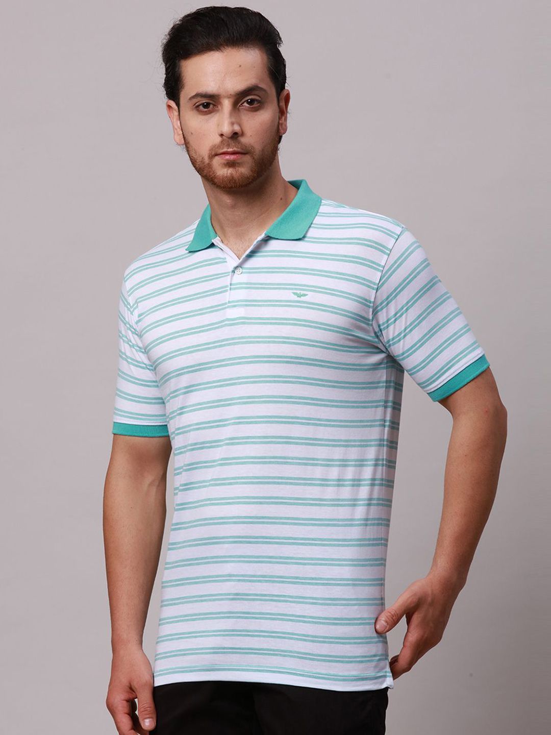 Park Avenue Men Striped Polo Collar Pockets Slim Fit T-shirt