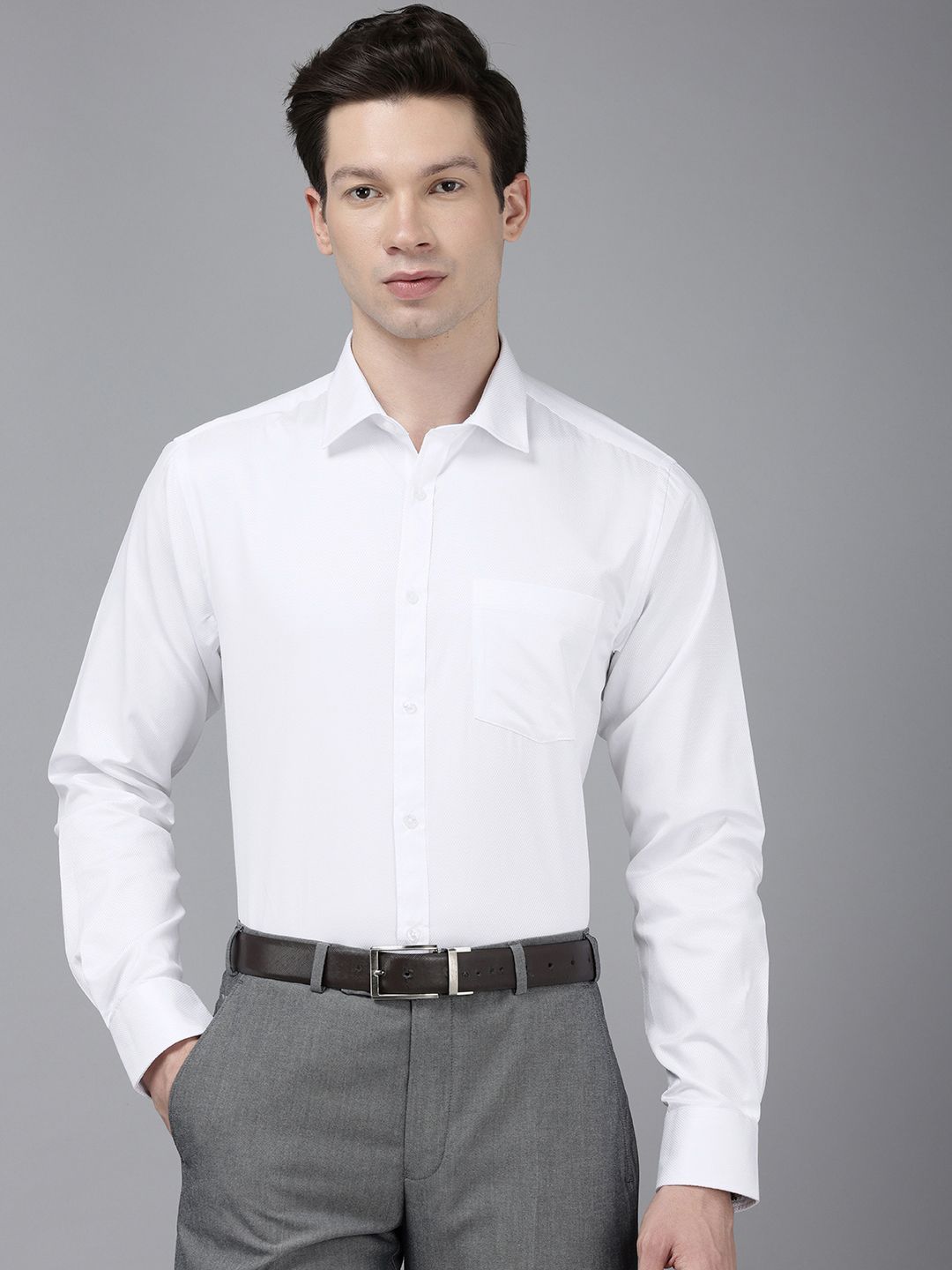 Park Avenue Slim Fit Opaque Formal Shirt