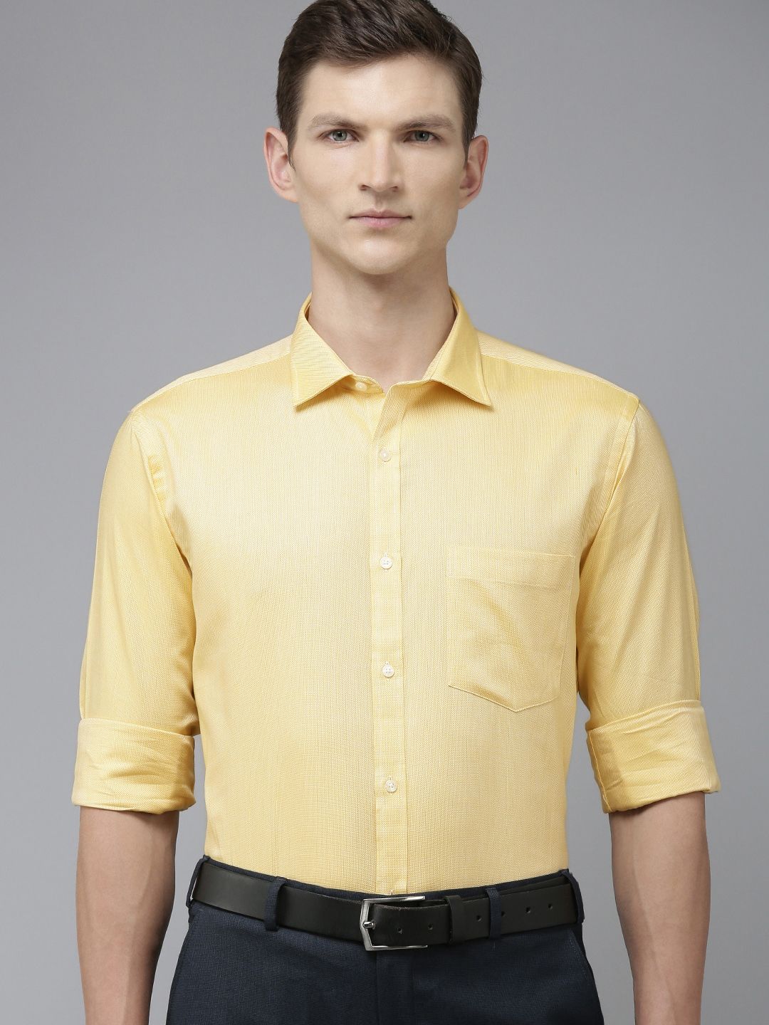 Park Avenue Men Pure Cotton Slim Fit Textured Formal Shirt