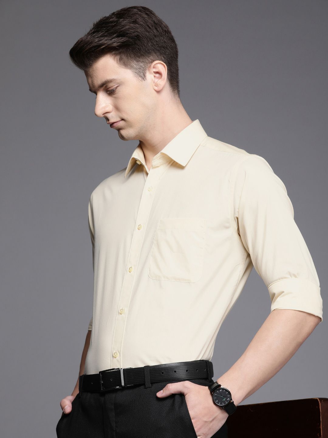 Raymond Pure Cotton Slim Fit Formal Shirt