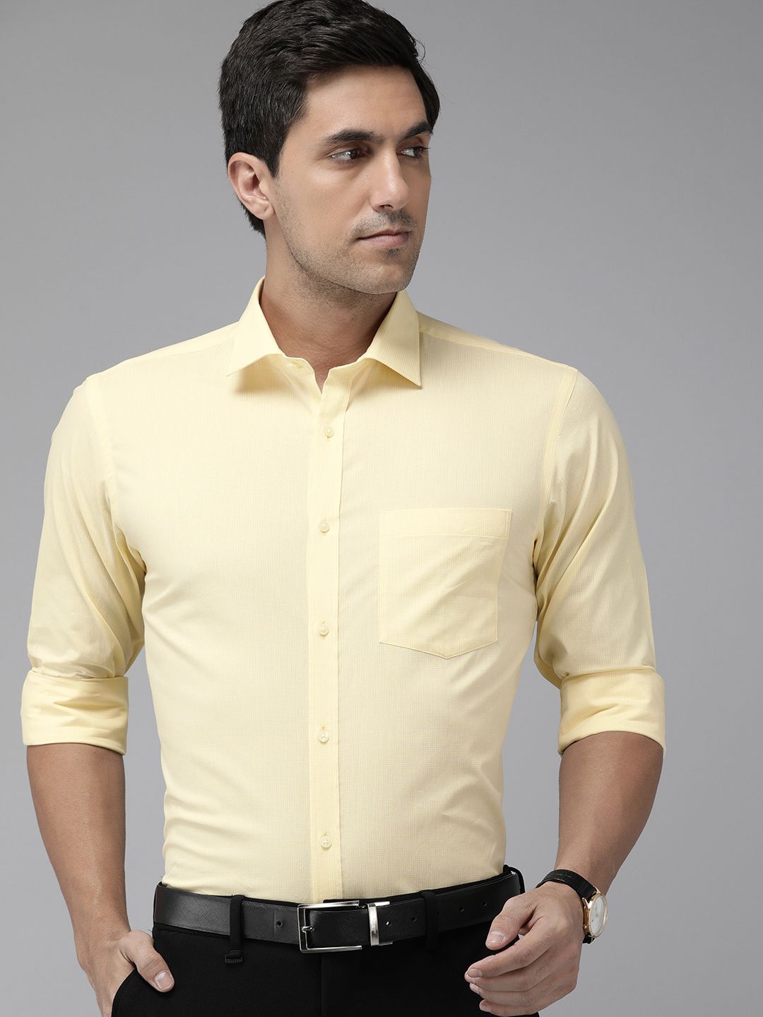 Park Avenue Pure Cotton Slim Fit Micro Checked Formal Shirt