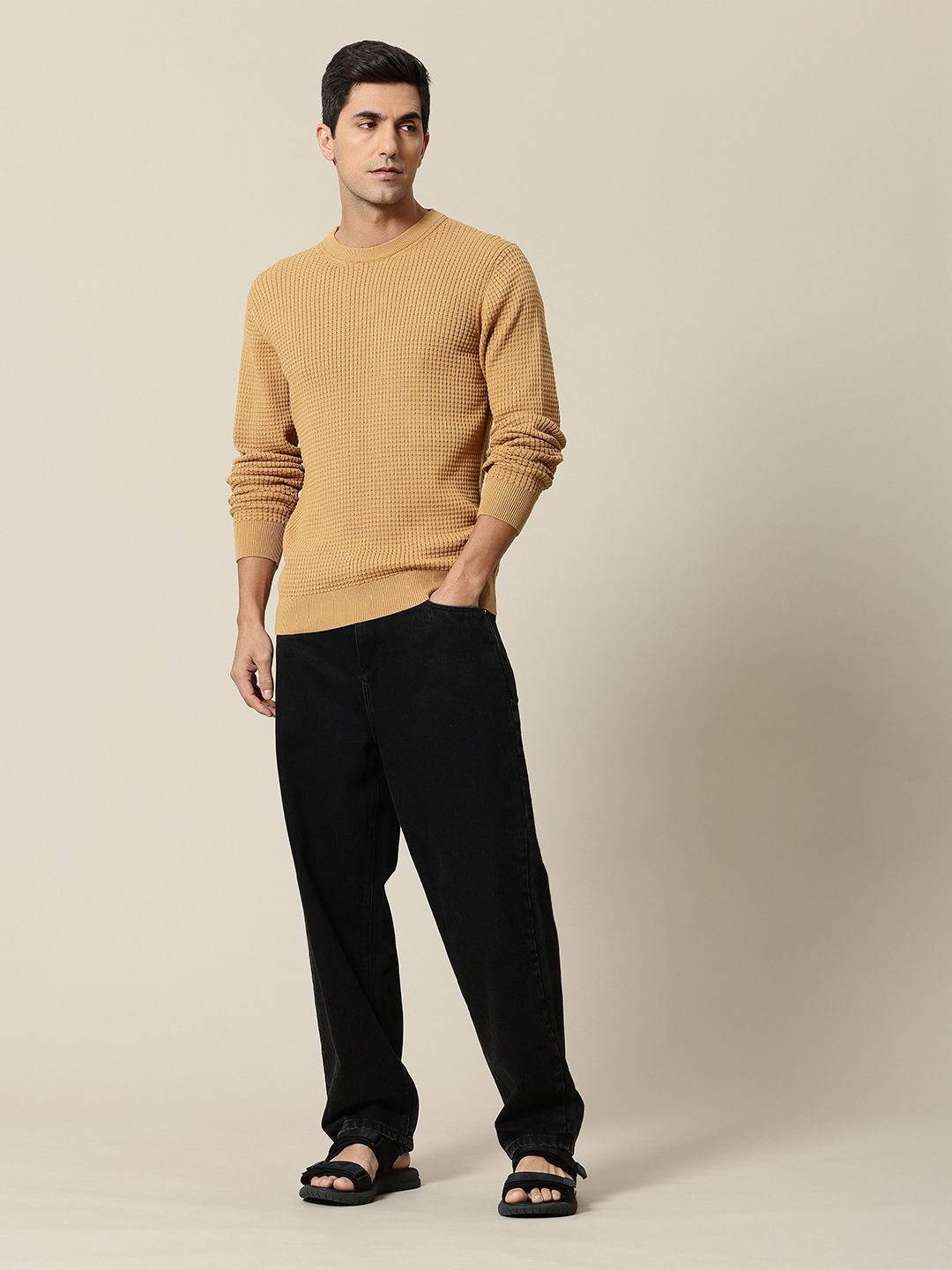 Mr Bowerbird Pure Cotton Self-Design Pullover Sweater
