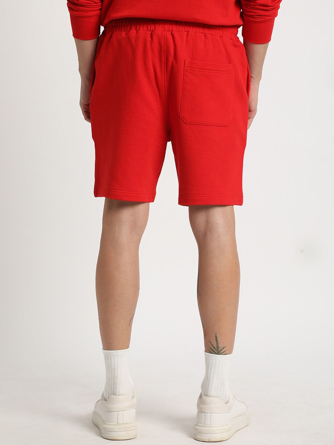 THE BEAR HOUSE Men Regular Fit Mid Rise Cotton Shorts