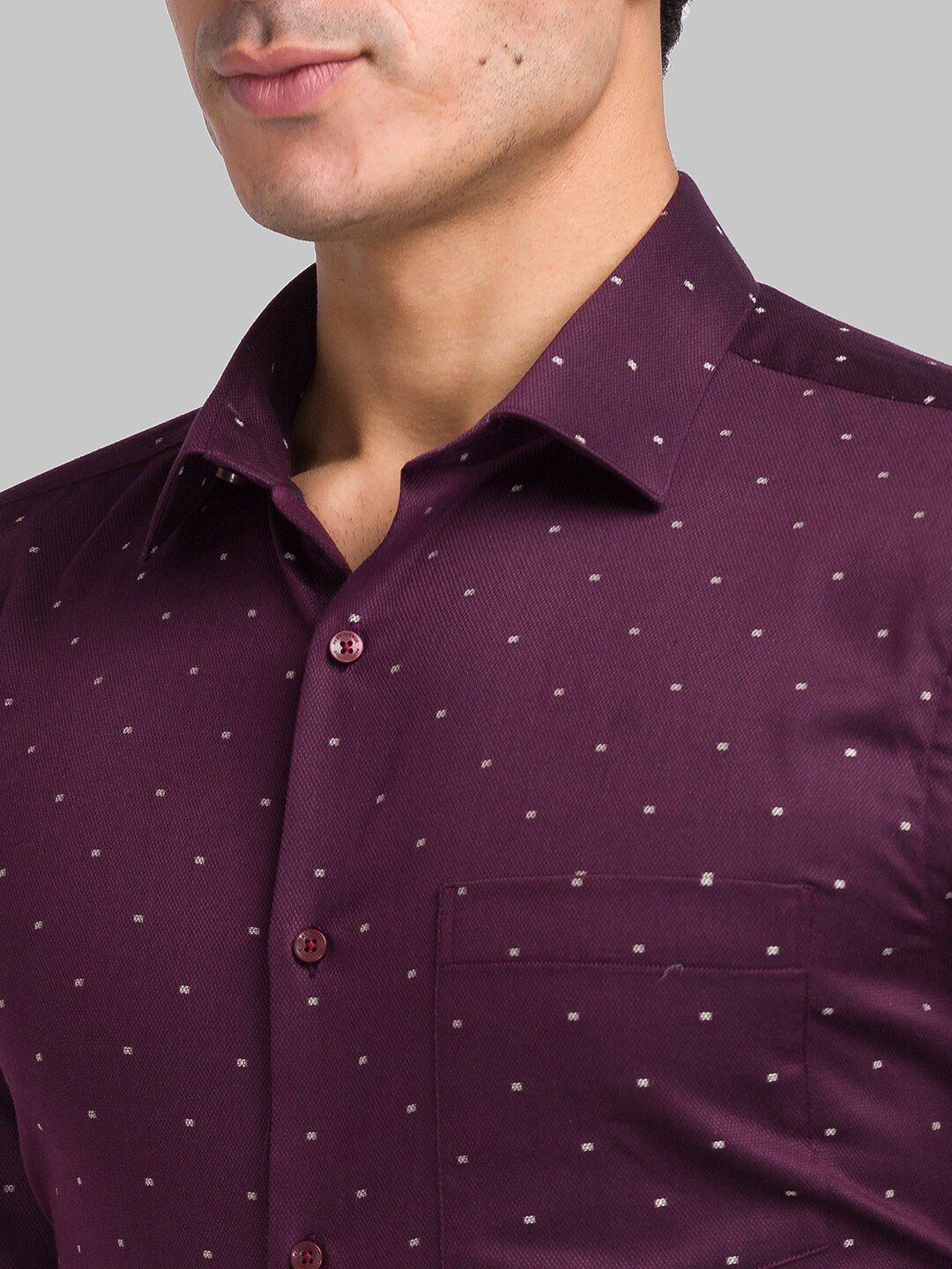 Park Avenue Printed Cotton Opaque Formal Shirt