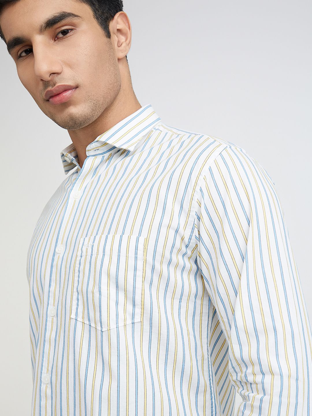 Park Avenue Men Pure Cotton Slim Fit Opaque Striped Casual Shirt