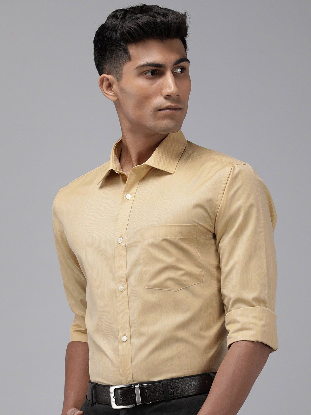 Park Avenue Slim Fit Pinstripes Opaque Formal Shirt