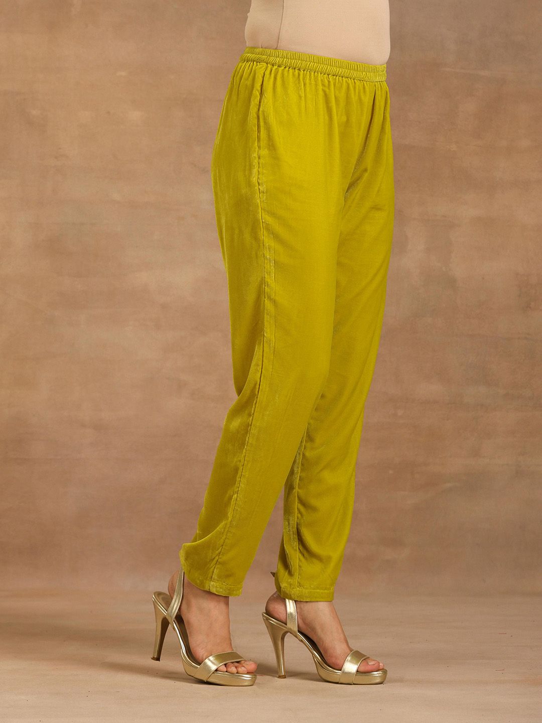 trueBrowns Women Straight Fit Velvet Regular Trouser