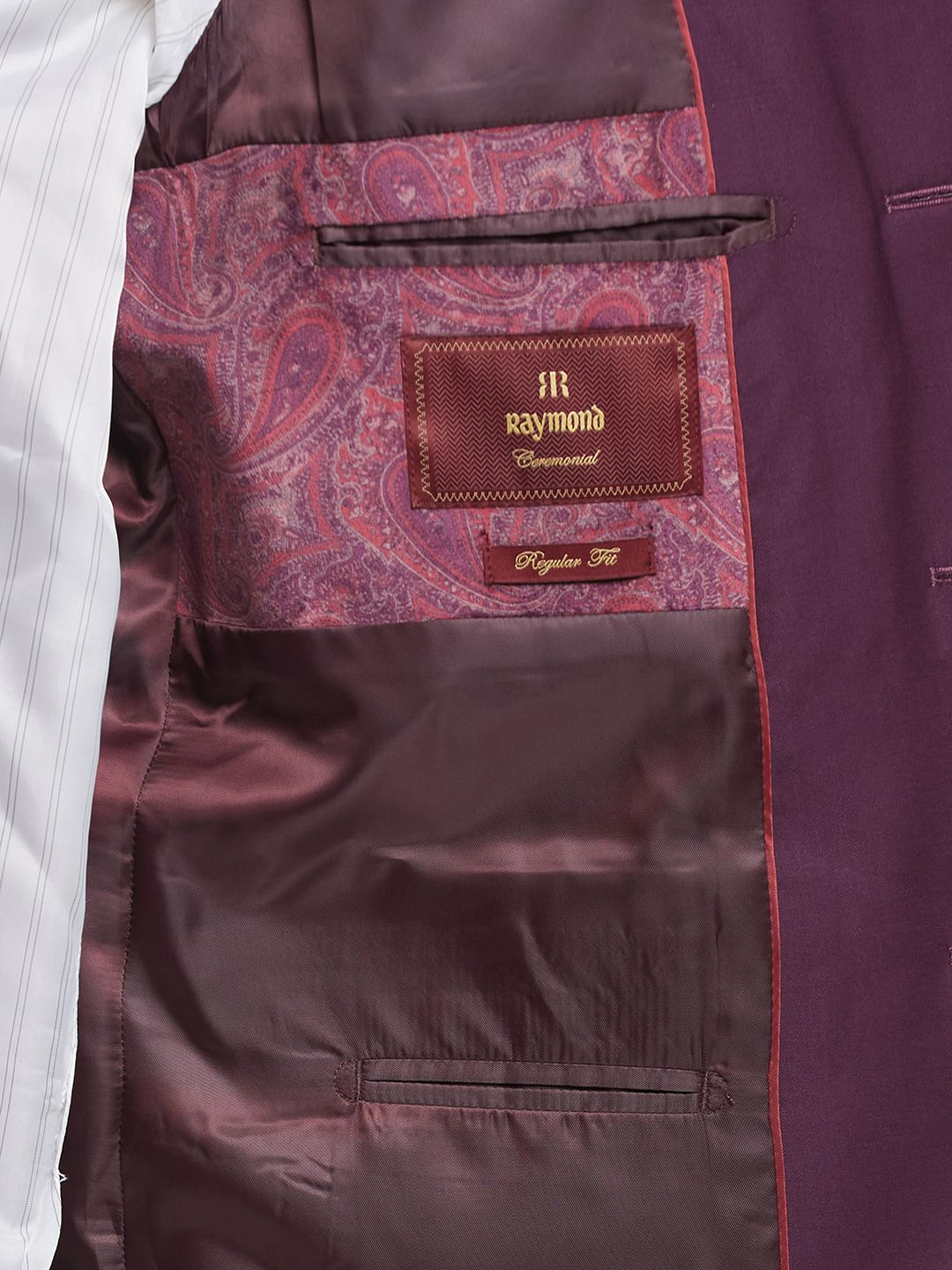 Raymond Paisley Printed Single-Breasted Velvet Finish Contemporary Fit Bandhgala Suit