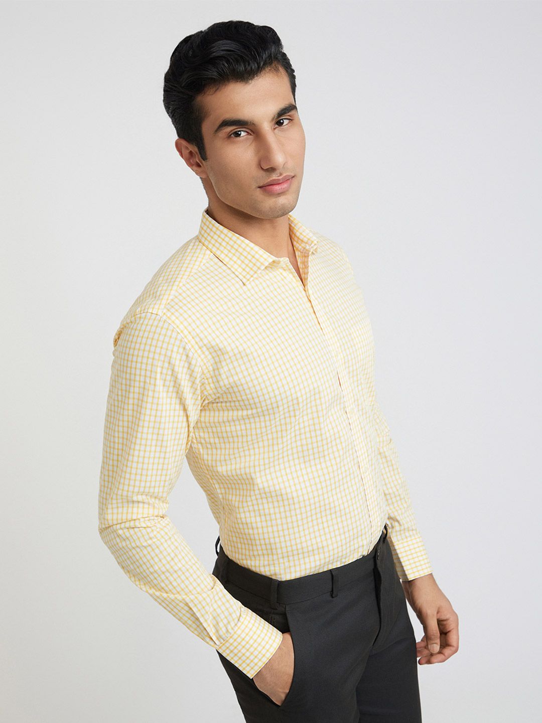 Park Avenue Slim Fit Gingham Checks Pure Cotton Formal Shirt