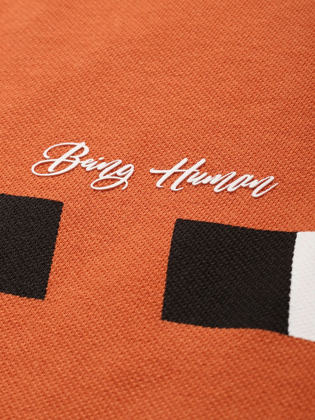 Being Human Pure Cotton Striped Polo Collar T-shirt