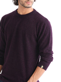 RARE RABBIT Men Bocle Crew Neck Sweater