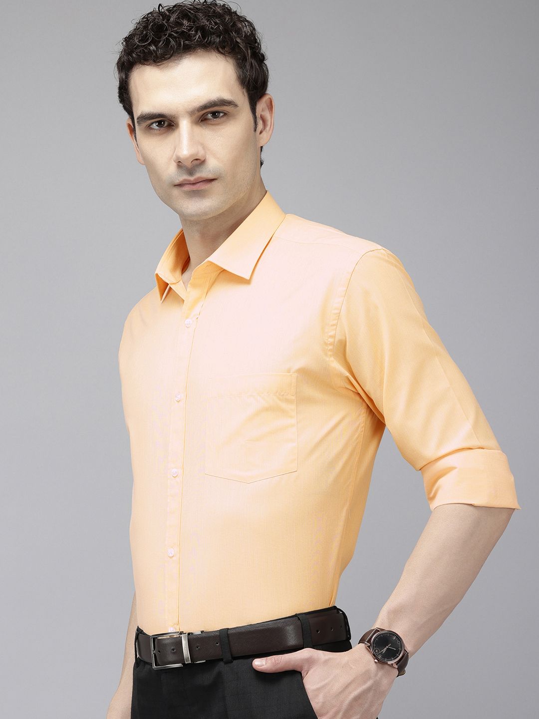 Park Avenue Slim Fit Cutaway Collar Formal Shirt