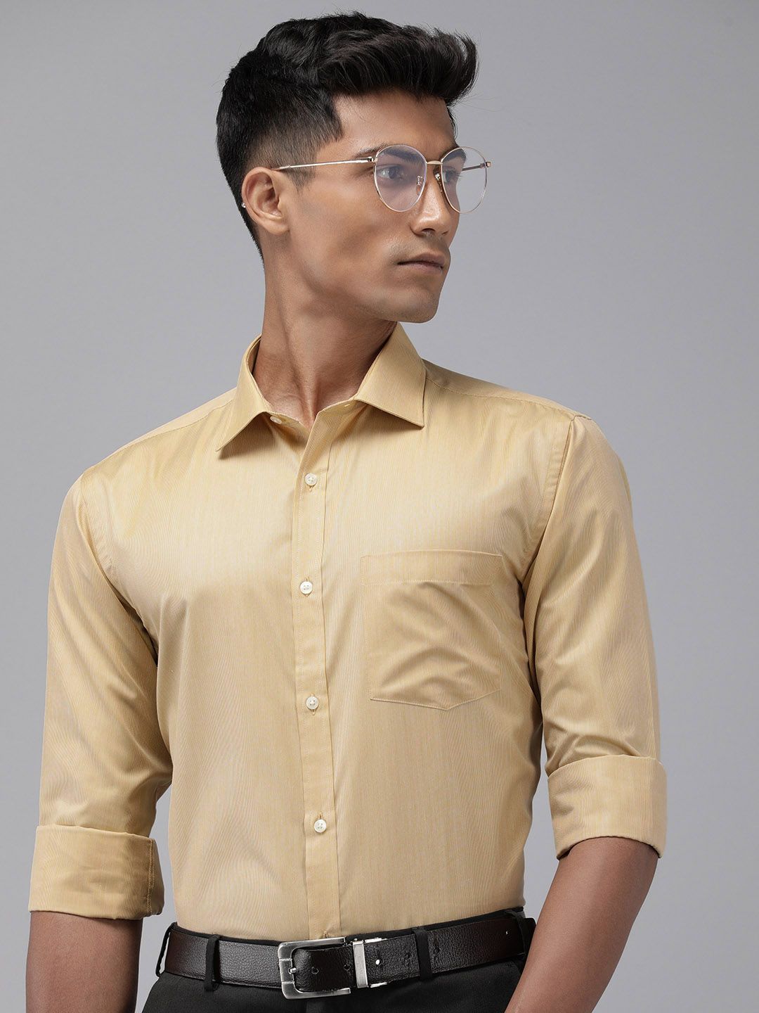 Park Avenue Slim Fit Pinstripes Opaque Formal Shirt