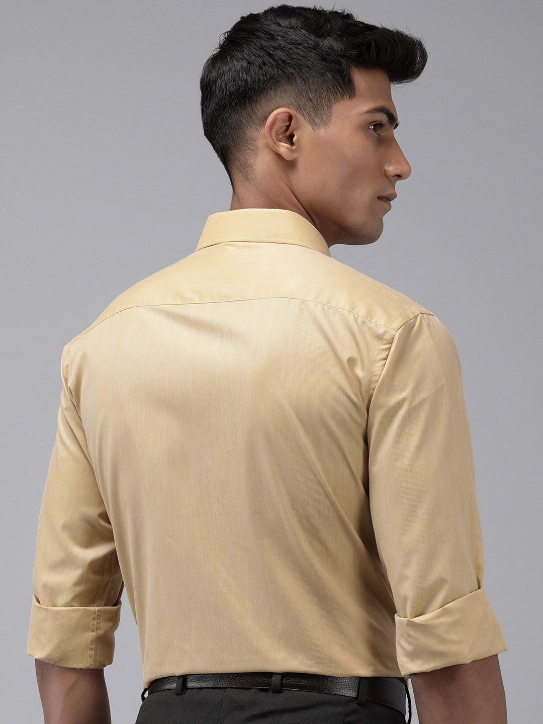 Park Avenue Slim Fit Pinstripes Opaque Formal Shirt