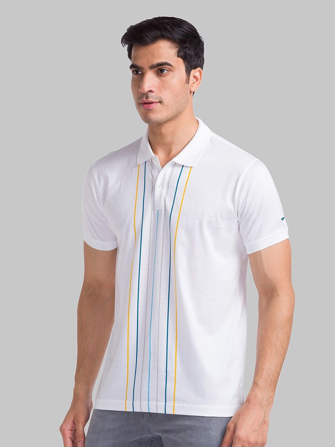Park Avenue Striped Polo Collar Pure Cotton Slim Fit T-shirt