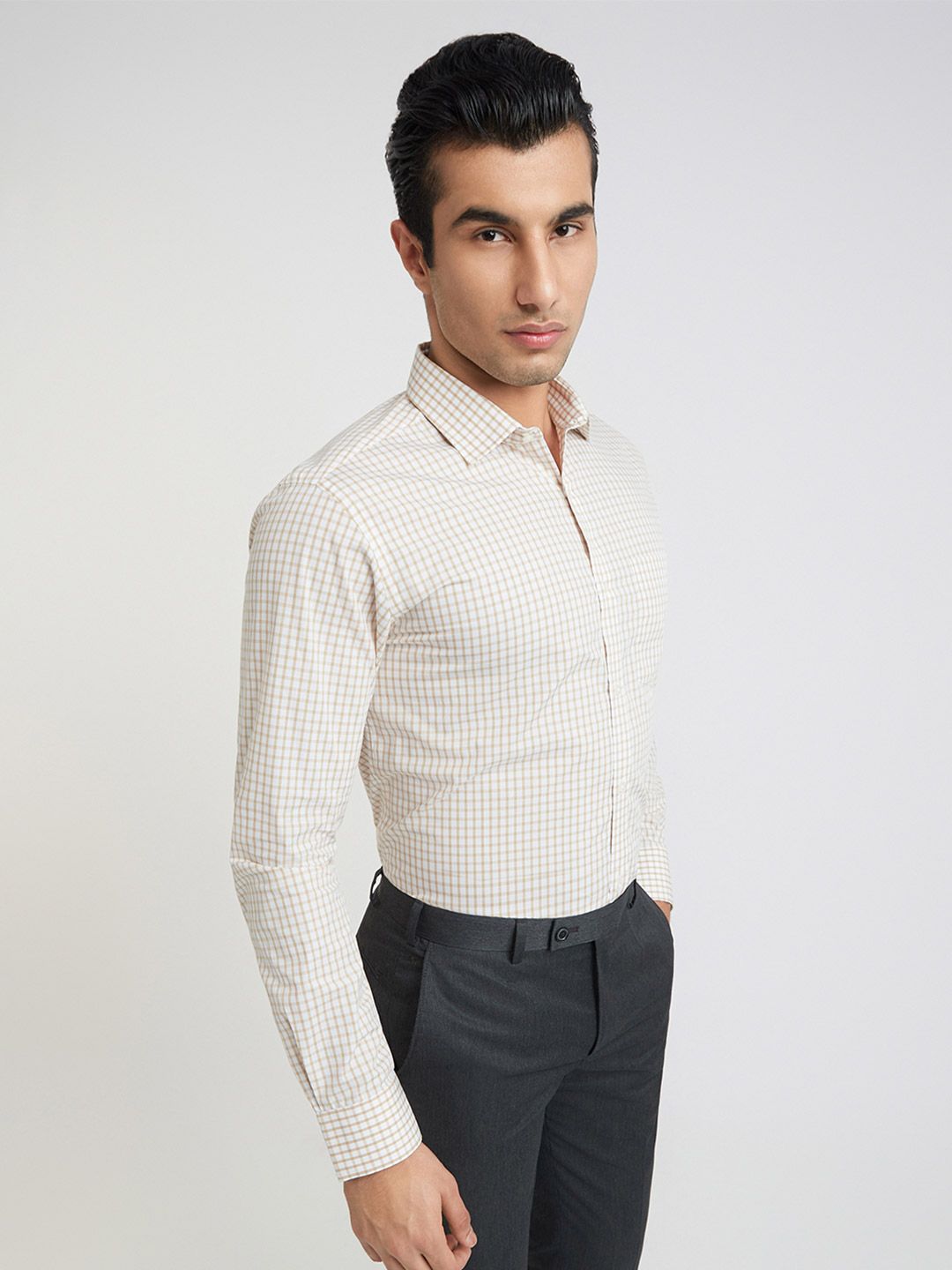 Park Avenue Slim Fit Checked Pure Cotton Formal Shirt