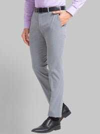 Park Avenue Men Striped Slim Fit Formal Trousers