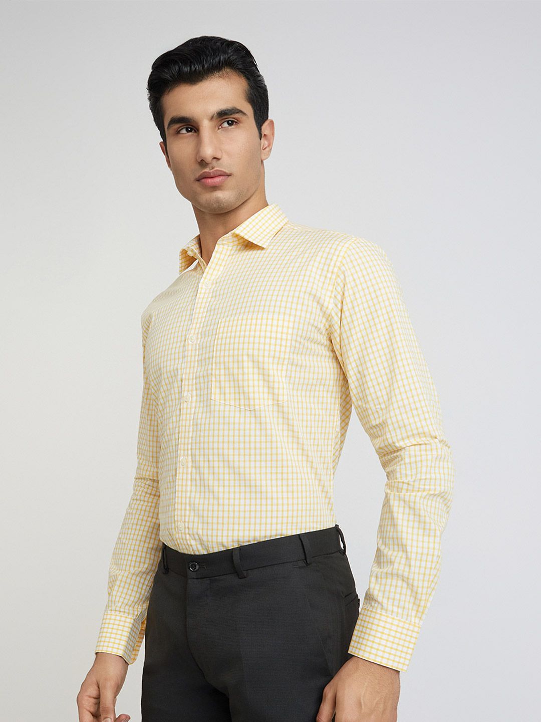 Park Avenue Slim Fit Gingham Checks Pure Cotton Formal Shirt