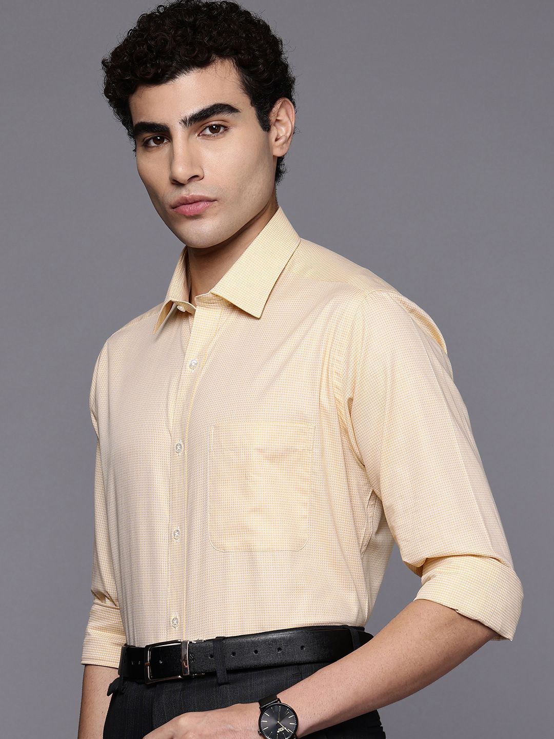 Raymond Slim Fit Checked Pure Cotton Formal Shirt
