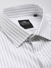 Park Avenue Slim Fit Striped Formal Shirt