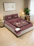 KLOTTHE Rust 400 TC King Bedsheet with 2 Pillow Covers