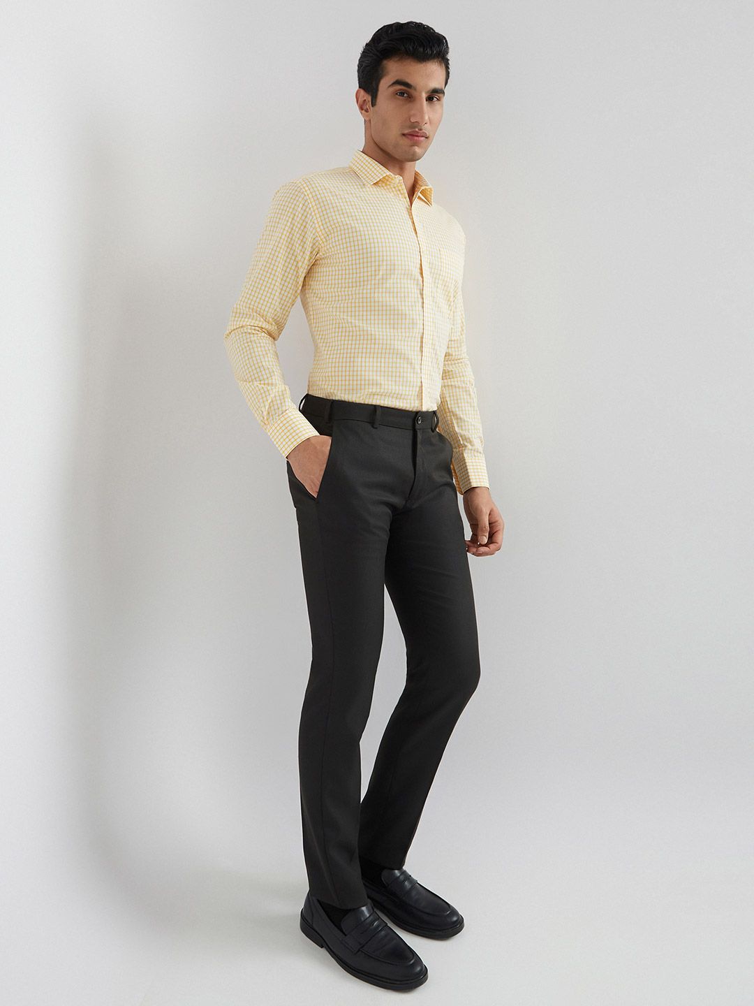 Park Avenue Slim Fit Gingham Checks Pure Cotton Formal Shirt