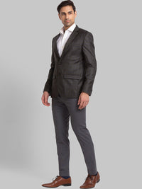 Park Avenue Men Checked Slim-Fit Single-Breasted 2 Piece Formal Suit
