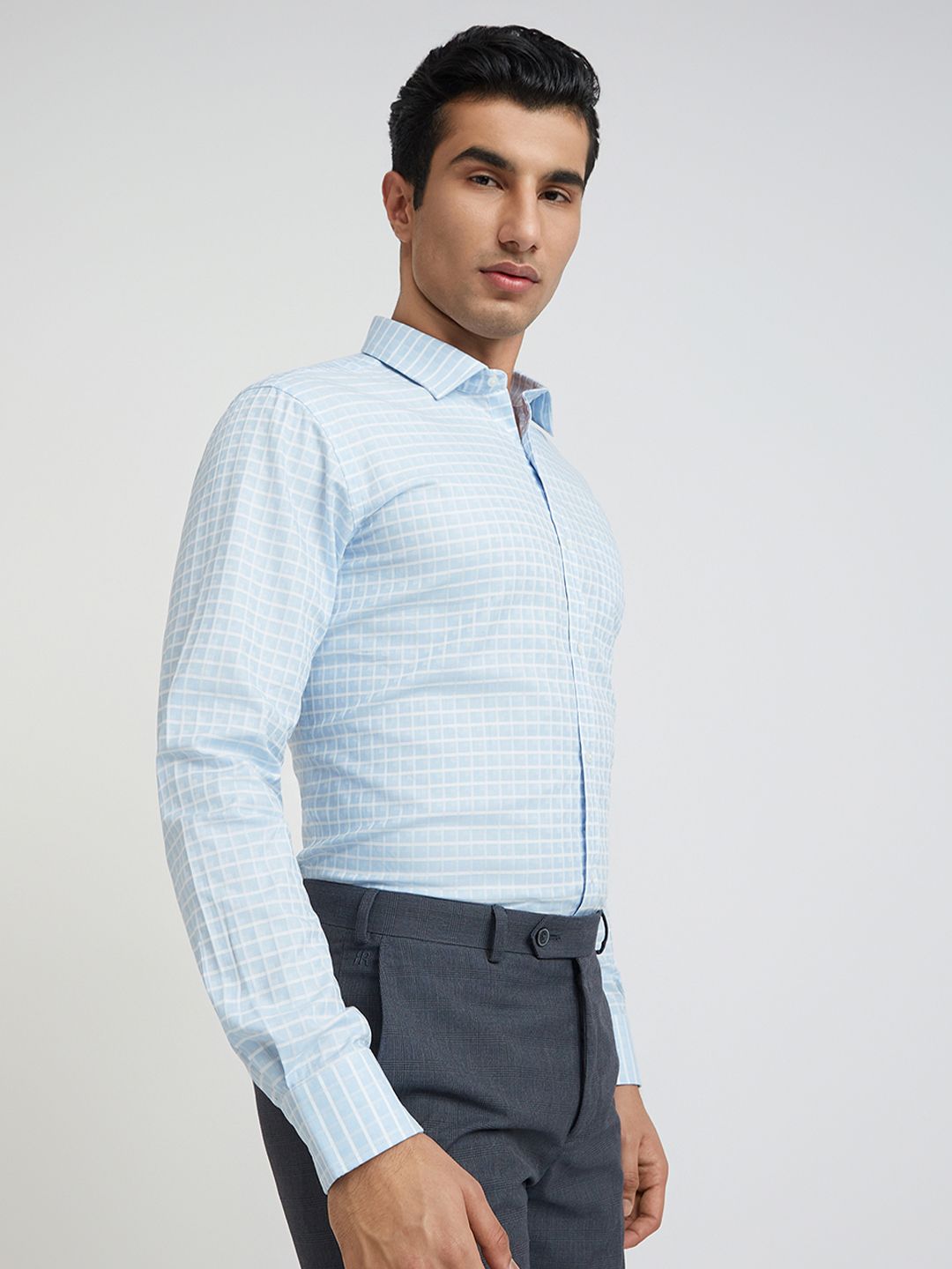 Park Avenue Slim Fit Windowpane Checked Pure Cotton Formal Shirt