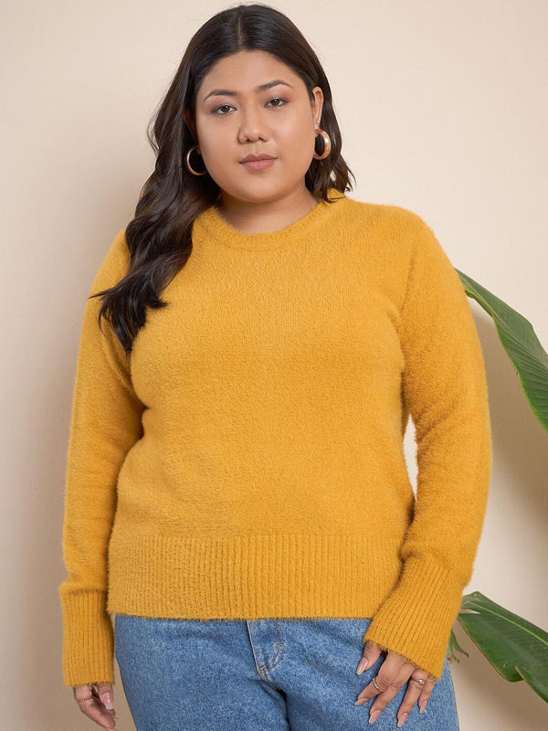 CURVY STREET Cable Knit Self Design Pullover Acrylic Sweater