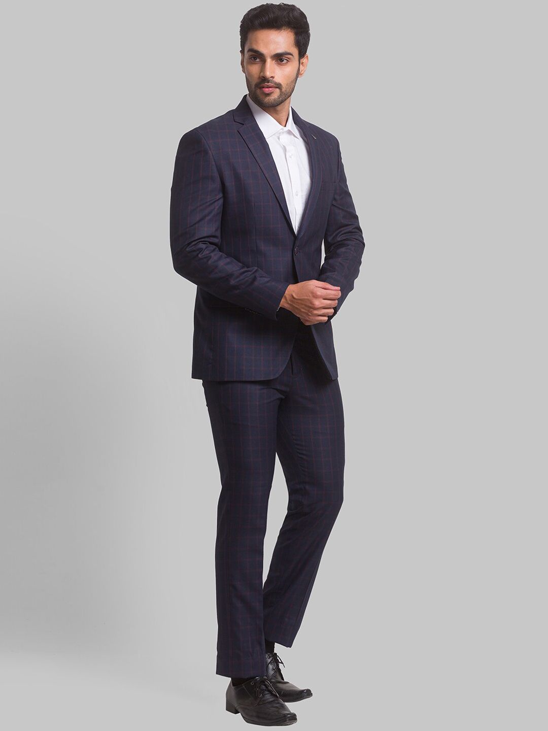 Park Avenue Men Checked Single Breasted Two Piece Formal Suit
