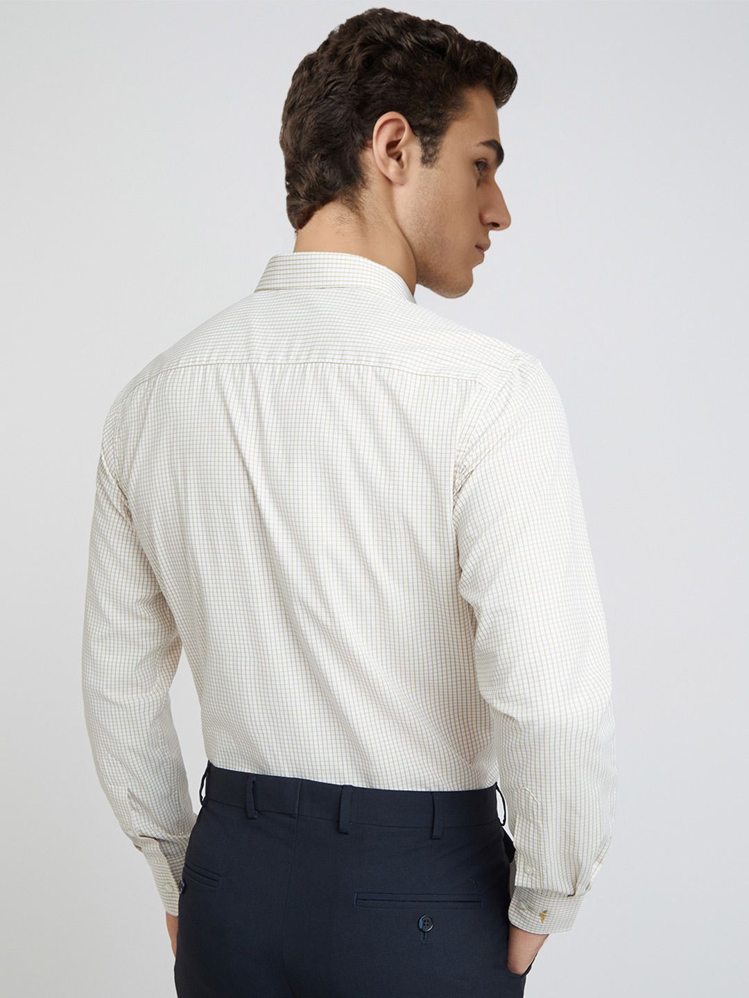 Park Avenue Slim Fit Windowpane Checks Formal Shirt