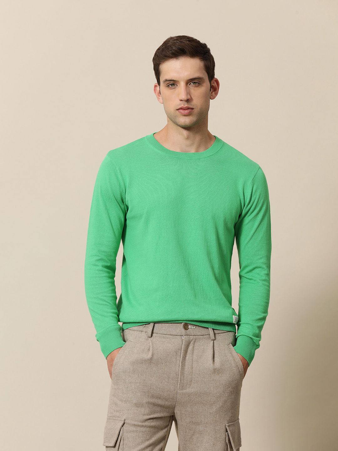 Mr Bowerbird Solid Pullover Sweater