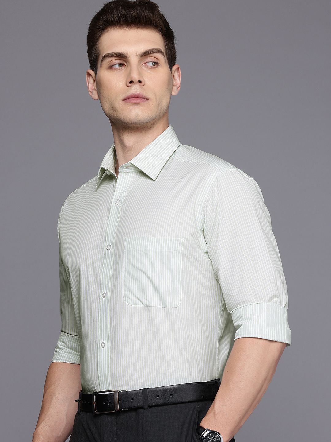 Raymond Slim Fit Striped Pure Cotton Formal Shirt