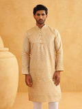 SOJANYA Ethnic Motifs Woven Design Mandarin Collar Kurta